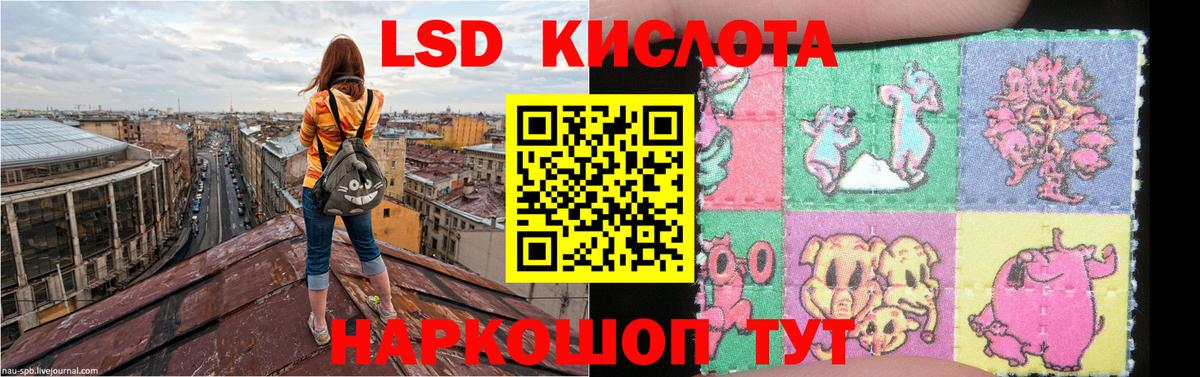 LSD-25 экстази ecstasy Гай