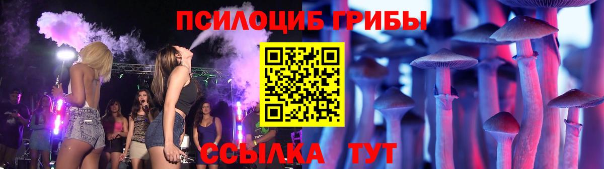 где продают наркотики  Вход с VPN  Гай  Псилоцибиновые грибы Psilocybine cubensis 