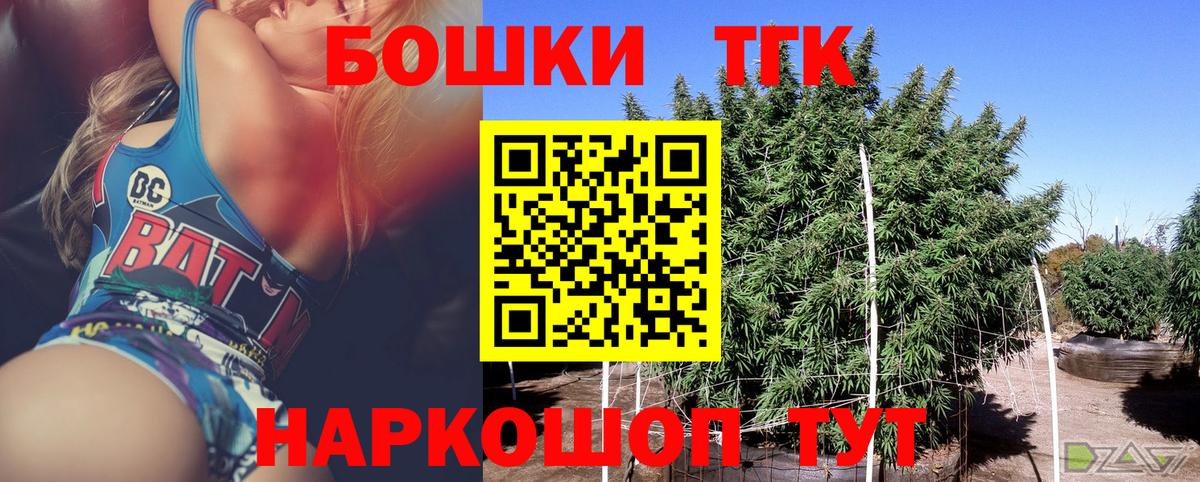 Каннабис планчик Гай